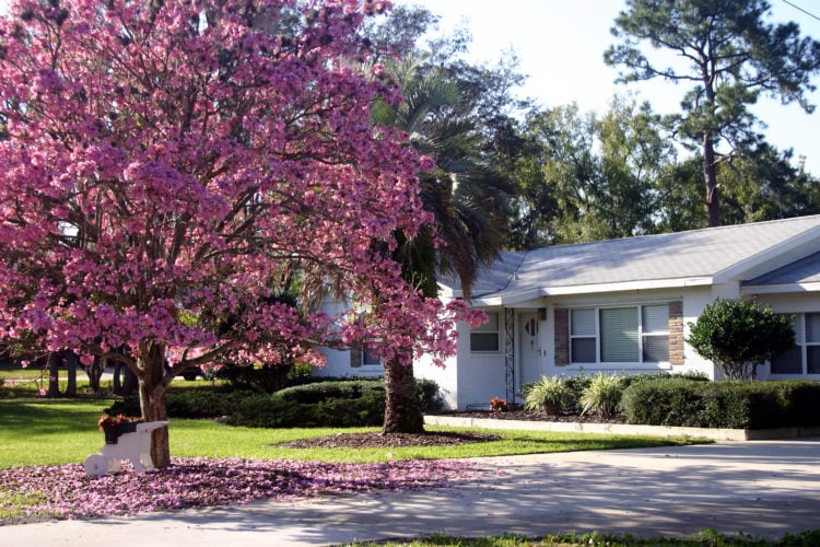 Os 20 melhores lugares para se morar na Central Florida