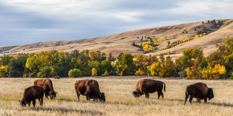 The 30 Richest Neighborhoods in North Dakota: Exploring the Most Affluent Areas