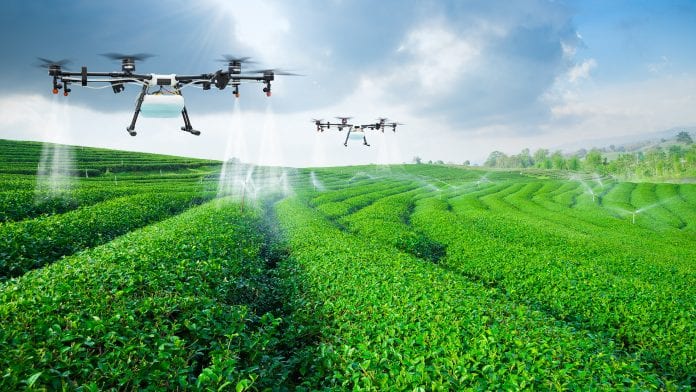 What Are Agricultural Robots and How Will They Change the Future?