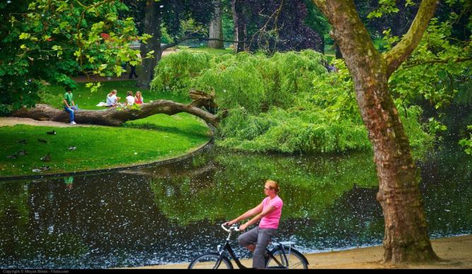 Amsterdam parks