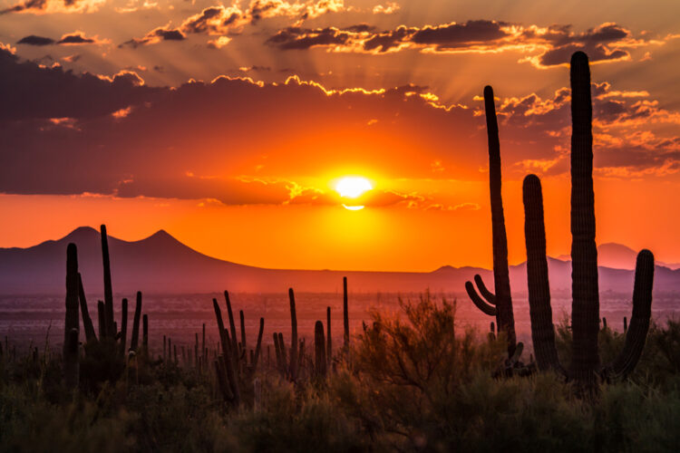 The 20 Best Things To Do In Kingman AZ 2023 The 20 Best Things To Do In Kingman AZ 2023