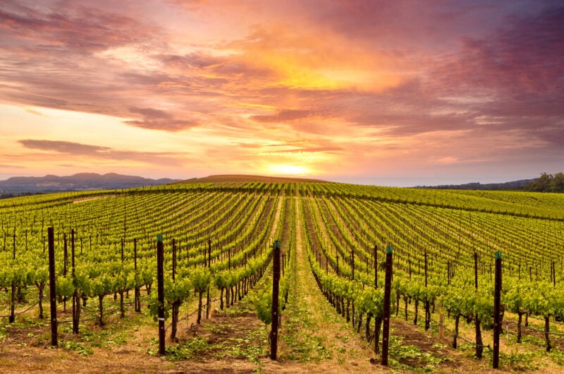 Sonoma