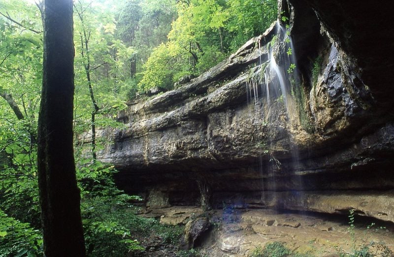 The 30 Best Summer Camps in Alabama: Guide to Top Youth Programs