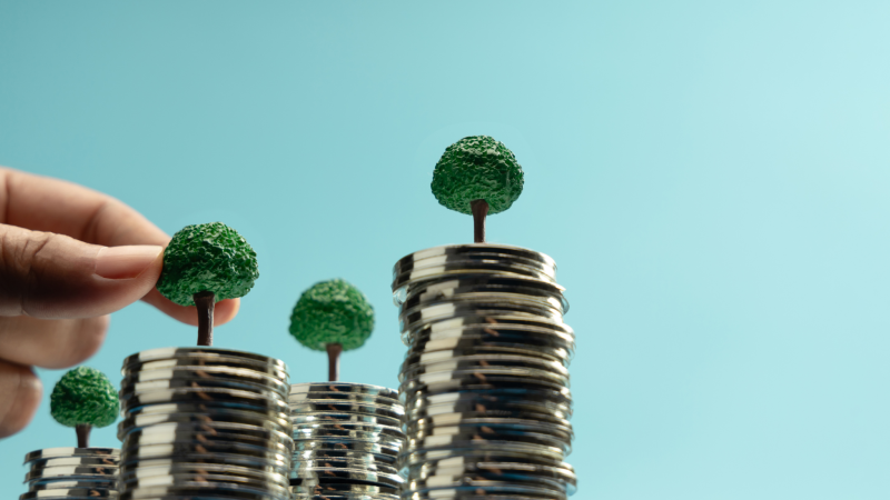 The Consultant’s Playbook: How Sustainability Literature Created a Billion- Dollar Advisory Industry