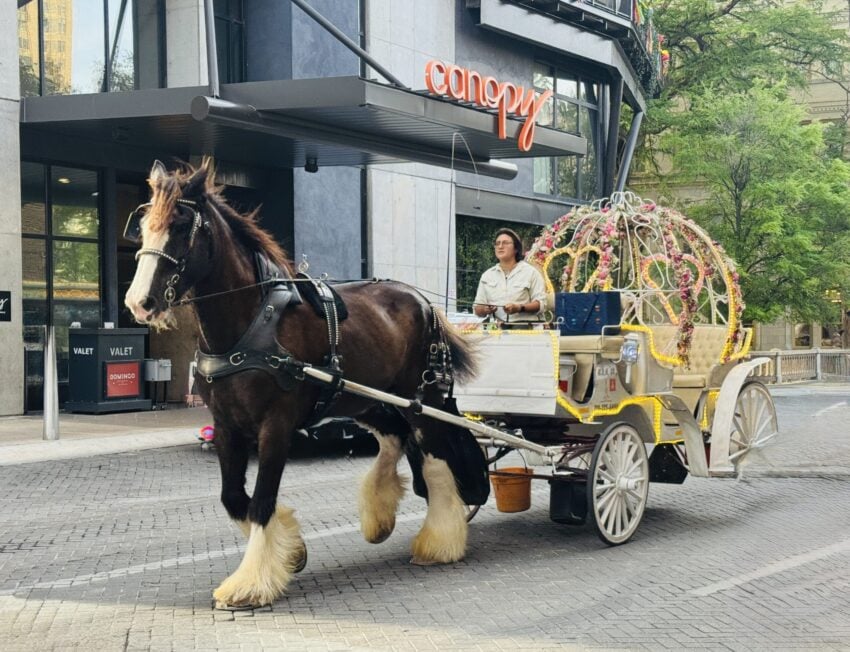 The Satisfaction of a Sojourn in San Antonio