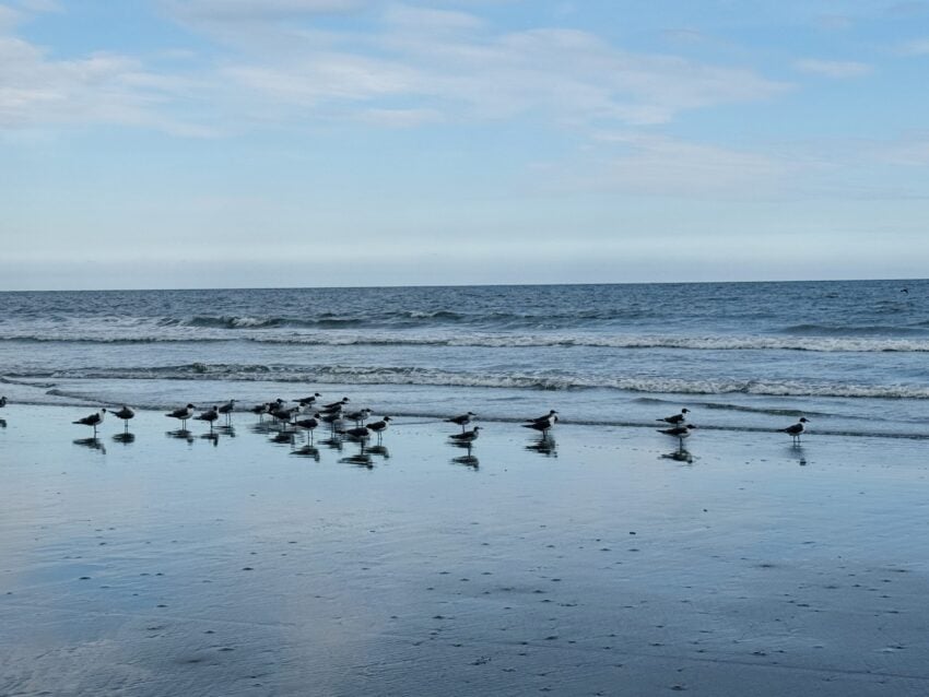 The Splendor of the Sanctuary at Kiawah Island Golf Resort